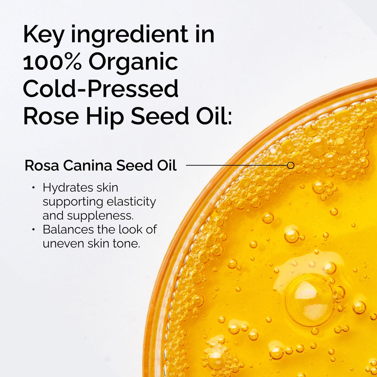 100-organic-cold-pressed-rose-hip-seed-oil-v7 FY25-D41247-ORD-Web-PDP-100-Rose-Hip-Oil-1x1-EN-2.jpg