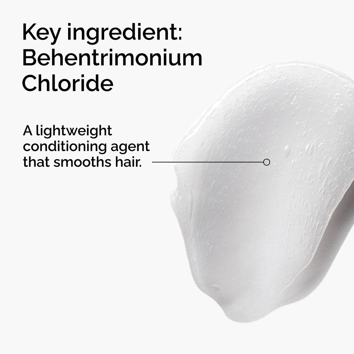 behentrimonium-chloride-2-conditioner-a3 FY25-D41247-ORD-Web-PDP-BTC-1x1-EN-2a.jpg