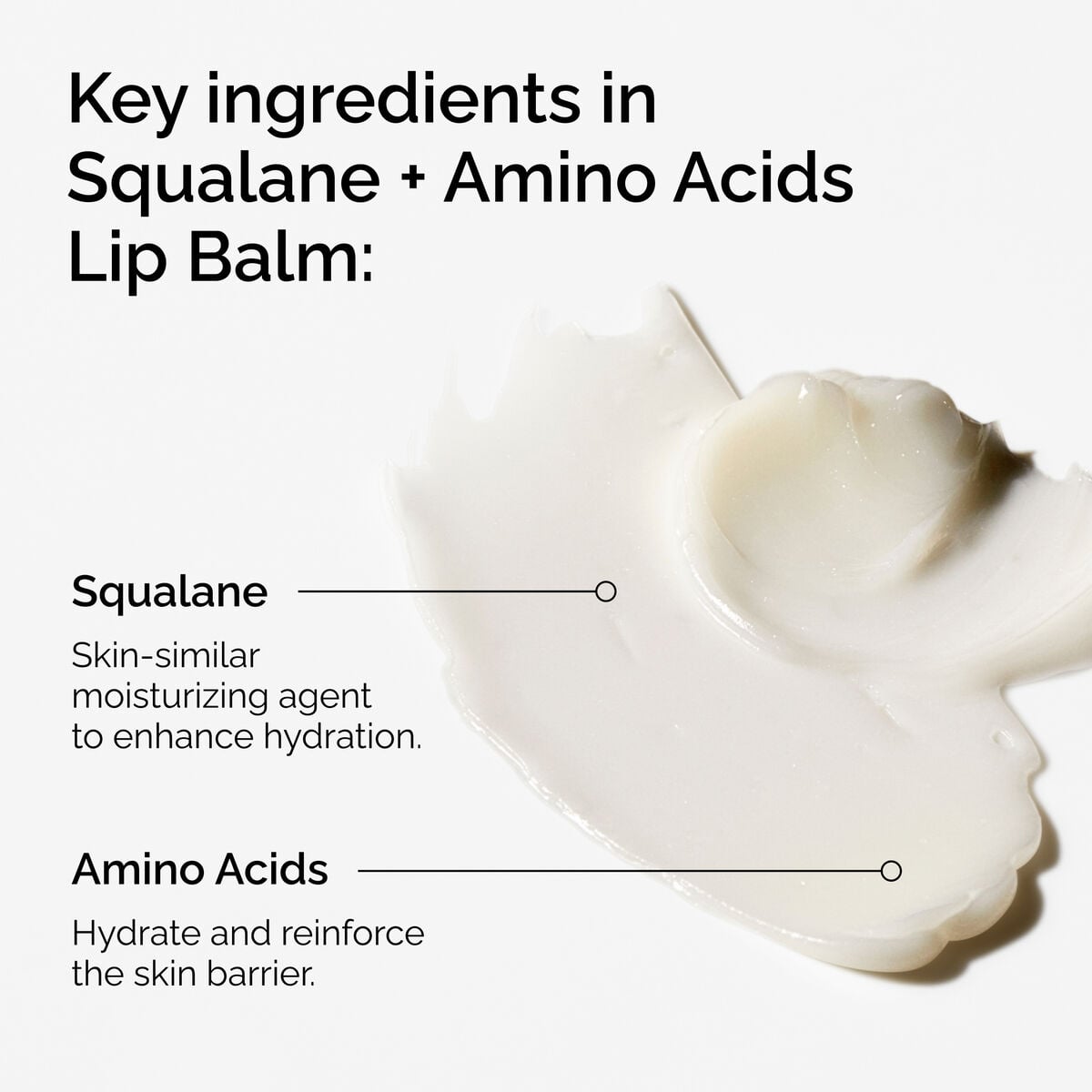squalane-amino-acids-lip-balm-n8 FY25-D41247-ORD-Web-PDP-Sql-Amino-Lip-1x1-EN-2a.jpg
