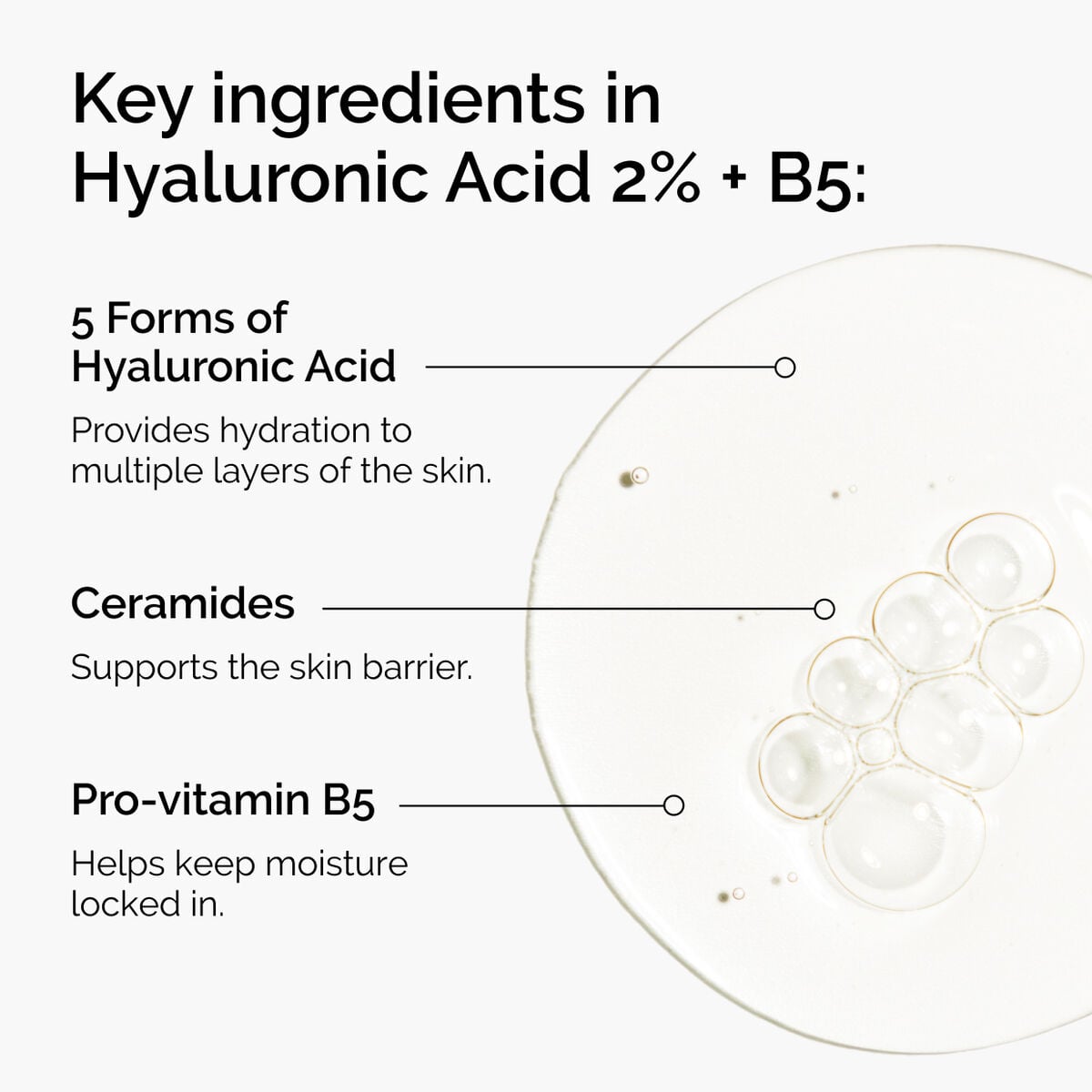 hyaluronic-acid-2-b5-with-ceramides-a1 ord-hyaluronic-acid-2pct-b5-hydrating-serum-ingredients-graphic.jpg