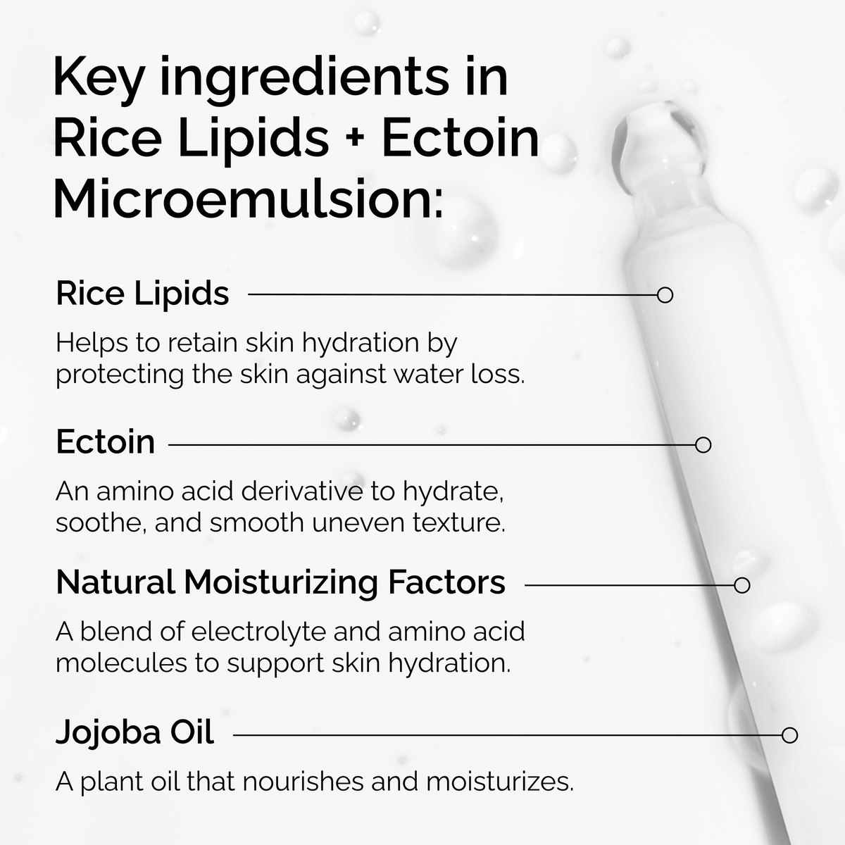 rice-lipids-ectoin-microemulsion-q2 ord-rice-lipids-ectoin-microemulsion-key-ingredients.png
