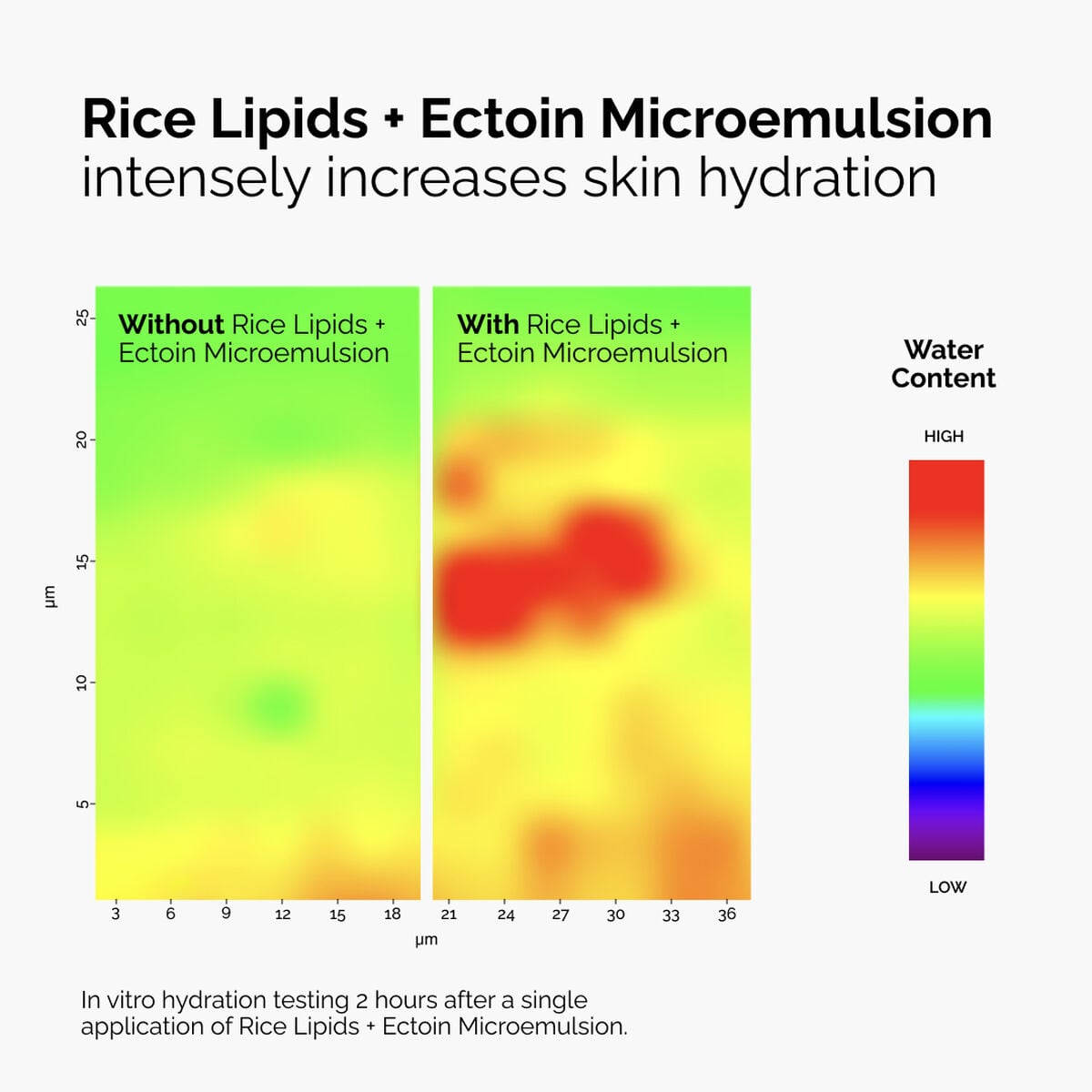 rice-lipids-ectoin-microemulsion-q2 ord-rice-lipids-ectoin-microemulsion-thermal-before-after.jpg